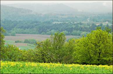 Spring in the Kickapoo Valley.