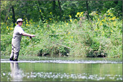 Fly fishing on the Kinnickinnic.