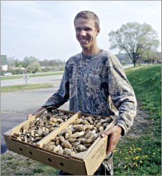 A morel hunter brings his booty to sell in La Crescent.