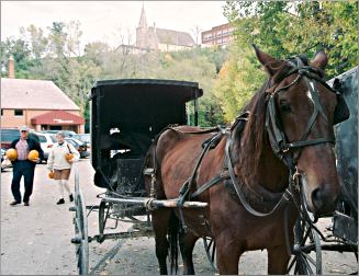 An Amish horse and buggy waits at the Lanesboro farmers mark
