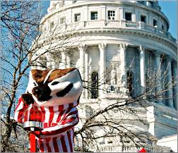 Bucky the Badger at the State Capitol.