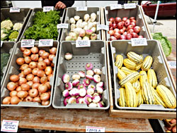 Vegetables at the farmers market.