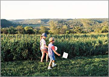 Children pick berries at Rush River Produce.