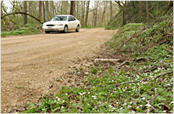 Rustic Road 51 in spring.