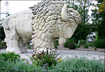 
In Mankato, a limestone buffalo marks the area of the 1862 hangings, now Reconciliation Park.
