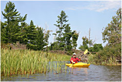 Paddling in the Turtle Flambeau.