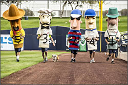 Sausage races at Miller Park.