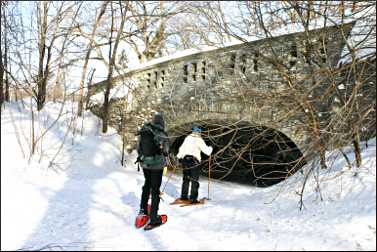 Bridge on Minnehaha Creek.