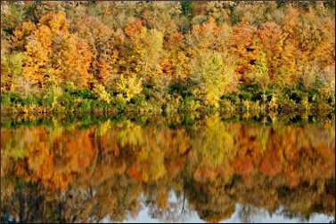 The Mississippi Gorge in fall.