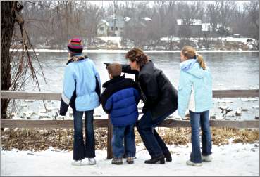A family watches swans in Monticello.