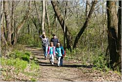 A family hiking at Nerstrand Big Woods.