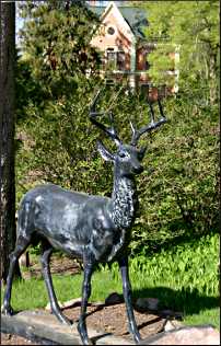 A stag at Schell Brewery.