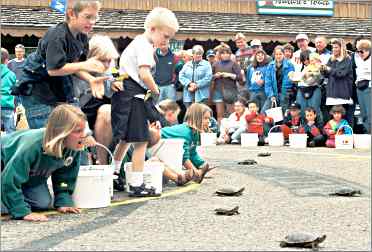 Children urge on turtles at Nisswa's weekly race.