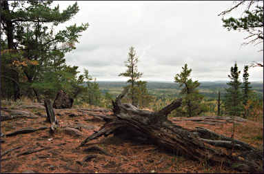 The view from Eagle Mountain.