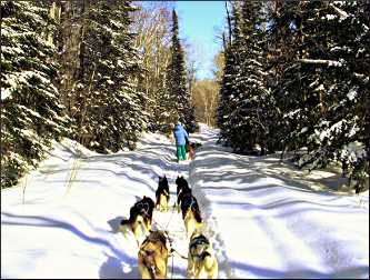 Mushing in Superior National Forest.