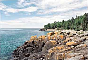 Lichen spots the craggy basalt rocks lining the North Shore.