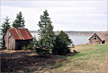 Shacks along Minnesota's Scenic 61.