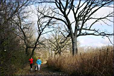 Runners in Carleton's Arboretum.