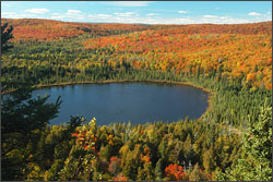 Fall colors on Oberg Mountain.