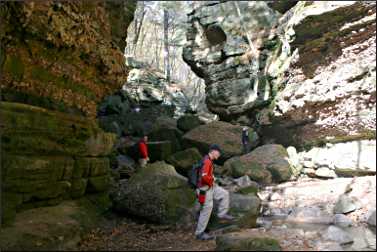 Parfrey's Glen in Wisconsin.