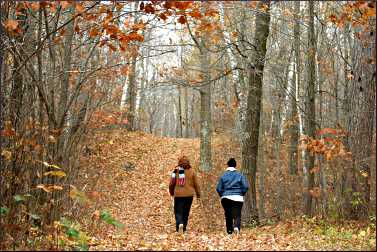 Fall hiking near Pine River.