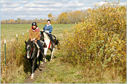 Horseback riding in autumn.