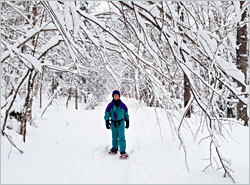 Snowy trail in the Porcupines.