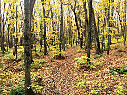 Summit Peak Tower Trail in the Porkies.