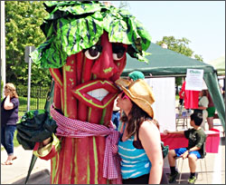 Rhubarb Fest in Duluth.