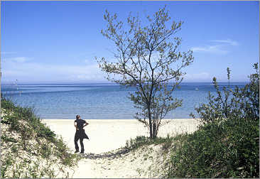 The beach at Rock Island State Park.