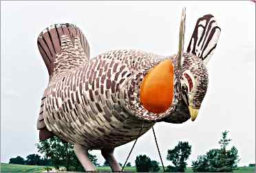 A giant fiberglass prairie chicken stands near Rothsay, Minn