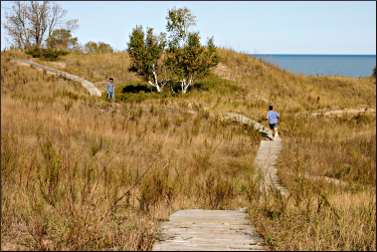 Dunes at Kohler-Andrae State Park.