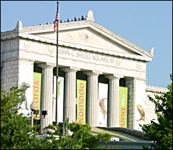 Shedd Aquarium in Chicago.