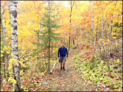 Fall colors on the Superior Hiking Trail.