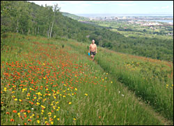 Superior Hiking Trail in Duluth.