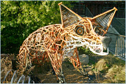 
The FoxCycle can be found along the Fox River Trail in St. Charles.
