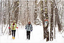 Skiing the Sugarbush Trail.