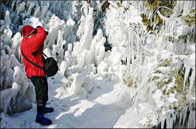 Ice forest at Tettegouche.