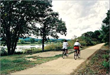 Bicyclists ride the Great River Trail near Trempealeau.