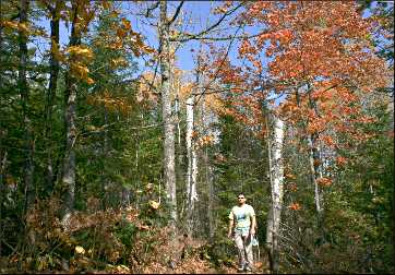 Superior Hiking Trail near Two Harbors.