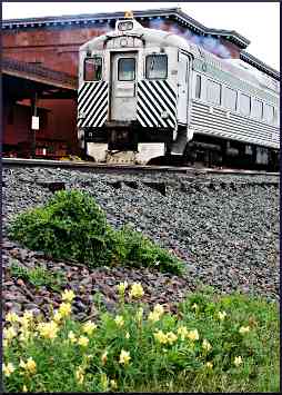 Train at the Two Harbors depot.