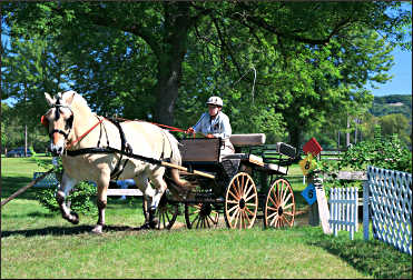 A carriage race at Villa Louis.