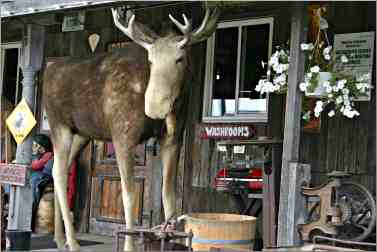 Young's General Store in Wawa.