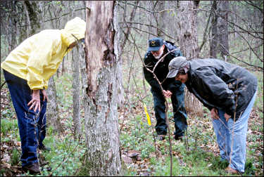 A naturalist leads a morel hunt.