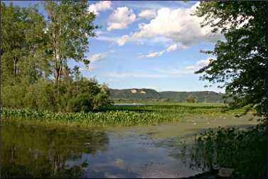 Mississippi backwaters in Winona.