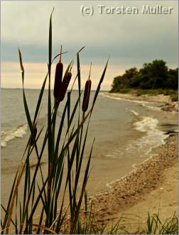 
The long beach of Zippel Bay State Park is just off the Waters of the
Dancing Sky Scenic Byway.
<p>" /><p class=